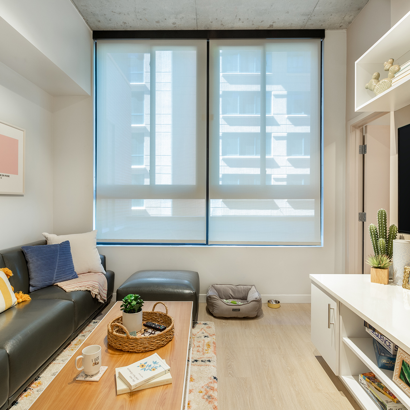 A furnished living room