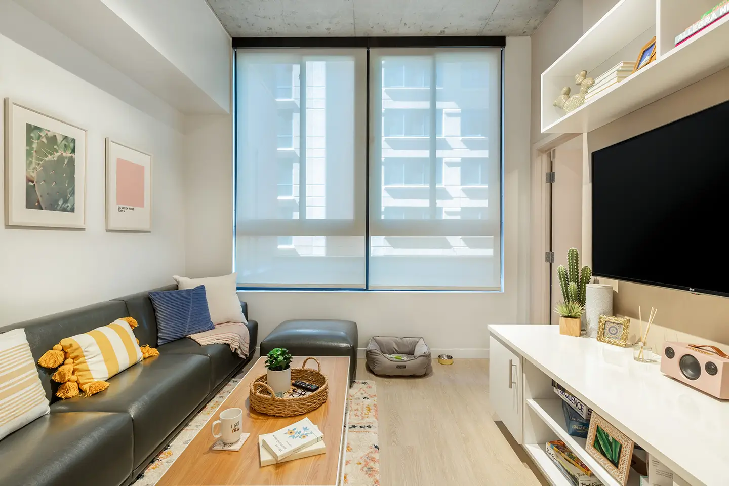 In-unit furniture, including a couch and flat screen TV, at ōLiv Tucson